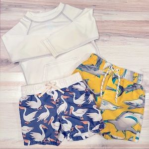 Toddler Baby Boy Swim Trunks and Rashguard 18-24m
